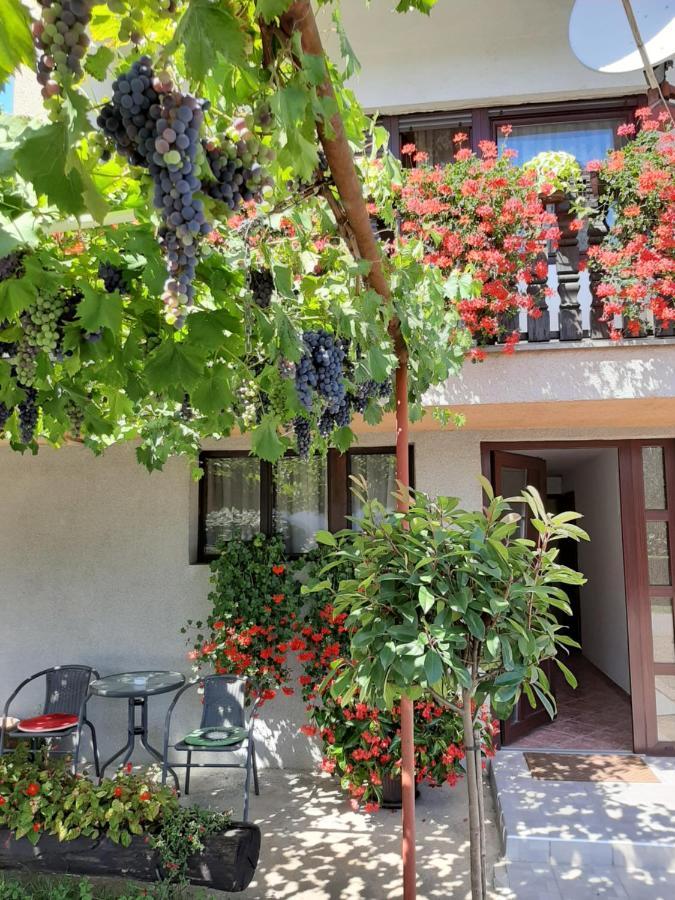Apartment Vir Karlovac Ngoại thất bức ảnh